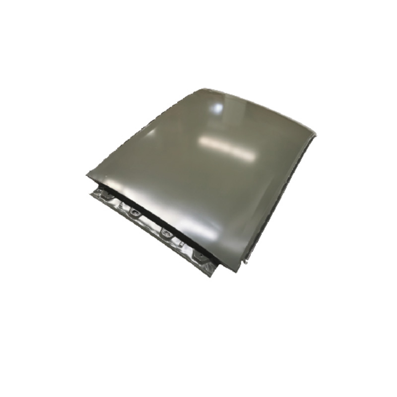 TECHO DE REPUESTO, 2009, PARA RENAULT DACIA SANDERO, 8201055490
